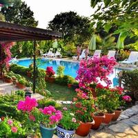 Havuz & Plaj Galerisi