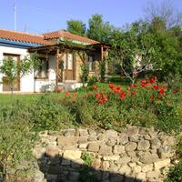 Genel Görünüm Galerisi