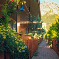 Genel Görünüm Galerisi