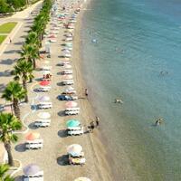 Havuz & Plaj Galerisi