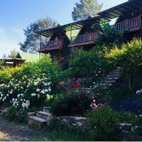 Genel Görünüm Galerisi