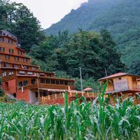 Genel Görünüm Galerisi