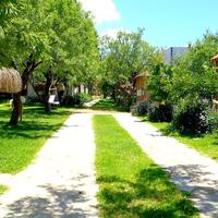 Genel Görünüm Galerisi