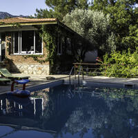 Genel Görünüm Galerisi