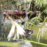 Çocuk Alanları Galerisi