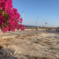 Havuz & Plaj Galerisi