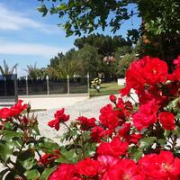 Bahçe & Oturma Alanları Galerisi