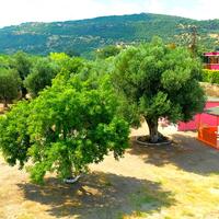 Genel Görünüm Galerisi