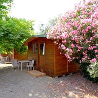 Genel Görünüm Galerisi