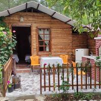 Genel Görünüm Galerisi