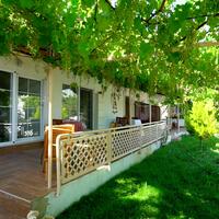 Genel Görünüm Galerisi