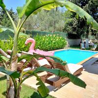 Havuz & Plaj Galerisi