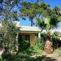 Genel Görünüm Galerisi