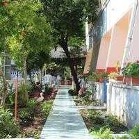 Genel Görünüm Galerisi