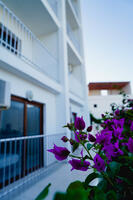 Genel Görünüm Galerisi