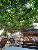 Bahçe & Oturma Alanları Galerisi