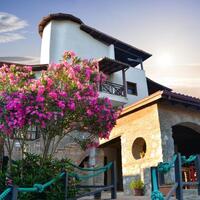 Genel Görünüm Galerisi