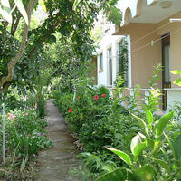 Genel Görünüm Galerisi