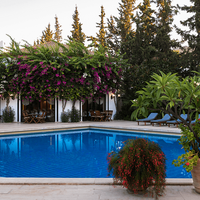 Havuz & Plaj Galerisi