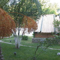 Bahçe & Oturma Alanları Galerisi