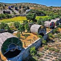 Genel Görünüm Galerisi