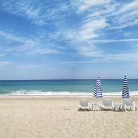 Havuz & Plaj Galerisi