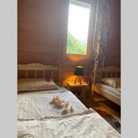 Oda Özellikleri Galerisi