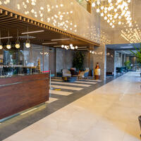 Lobi & Oturma Alanları Galerisi