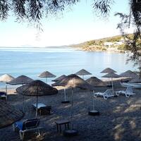 Havuz & Plaj Galerisi