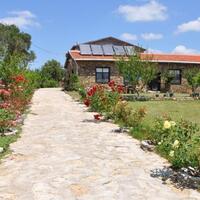 Genel Görünüm Galerisi