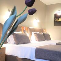 Oda Özellikleri Galerisi