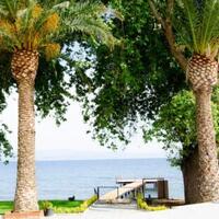 Havuz & Plaj Galerisi