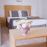 Oda Özellikleri Galerisi