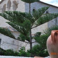 Genel Görünüm Galerisi