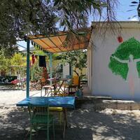 Genel Görünüm Galerisi