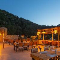 Genel Görünüm Galerisi