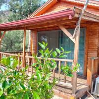 Genel Görünüm Galerisi