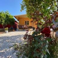 Genel Görünüm Galerisi