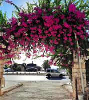 Havuz & Plaj Galerisi