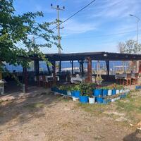 Genel Görünüm Galerisi