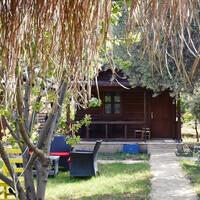 Genel Görünüm Galerisi