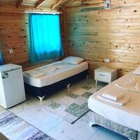 Oda Özellikleri Galerisi