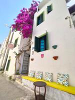 Genel Görünüm Galerisi