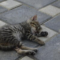 Toplantı ve Organizasyon Galerisi