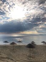 Havuz & Plaj Galerisi