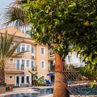 Genel Görünüm Galerisi