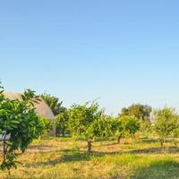 Toplantı ve Organizasyon Galerisi