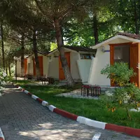 Genel Görünüm Galerisi