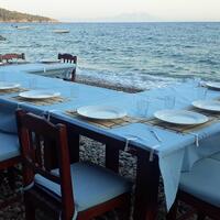 Genel Görünüm Galerisi