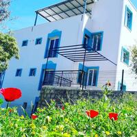 Genel Görünüm Galerisi